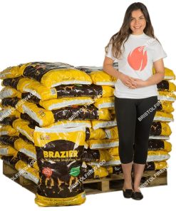1000kg-brazier-smokeless-coal