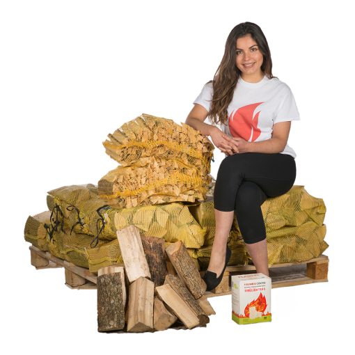 Starter Kit - 12 Nets Kiln Dried Logs +2 Kindling +1 Box Firelighters